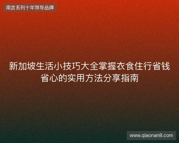 新加坡生活小技巧大全掌握衣食住行省钱省心的实用方法分享指南